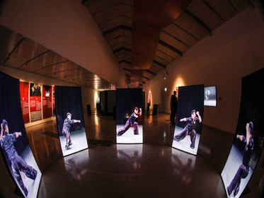 Kung Fu Motion EPFL